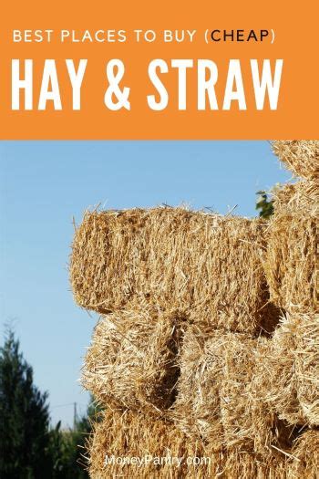 Where can i buy straw near me. Things To Know About Where can i buy straw near me. 